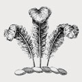 De La Barr family crest, coat of arms