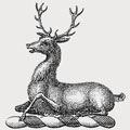 Buck family crest, coat of arms