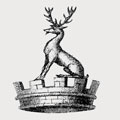 Austen family crest, coat of arms