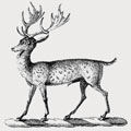 O'davoren family crest, coat of arms
