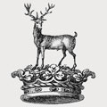 Shee family crest, coat of arms