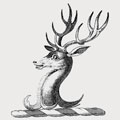 Bainbridge family crest, coat of arms