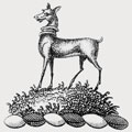 Lloyd family crest, coat of arms