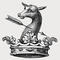 Anderson family crest, coat of arms