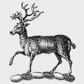 Bonteville family crest, coat of arms