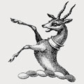 Martin family crest, coat of arms