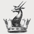 Pocock family crest, coat of arms
