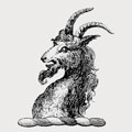 Williams family crest, coat of arms