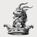 Jones family crest, coat of arms