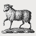 Sheepshanks family crest, coat of arms