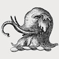Risdon family crest, coat of arms
