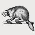 Beaver family crest, coat of arms