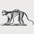 Fitz-Zimon family crest, coat of arms