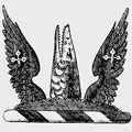 Pyke-Nott family crest, coat of arms