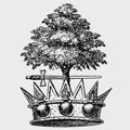 Douglas family crest, coat of arms