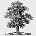 Tree family crest, coat of arms