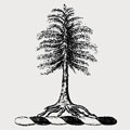 Macgregor family crest, coat of arms