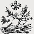 Bonham family crest, coat of arms