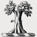Crosbey family crest, coat of arms