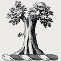 Lawder family crest, coat of arms