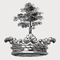 Thornhill family crest, coat of arms