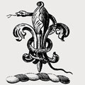 Brook family crest, coat of arms