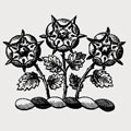 Zachet family crest, coat of arms