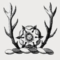Ellisworth family crest, coat of arms