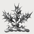 Smythe family crest, coat of arms