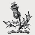 Fergusson-Buchanan family crest, coat of arms