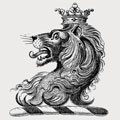 Davis family crest, coat of arms