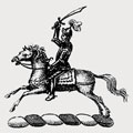 Johnson family crest, coat of arms