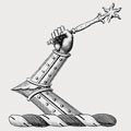 Singleton family crest, coat of arms