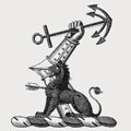 De Tonge family crest, coat of arms