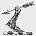 Cubit family crest, coat of arms