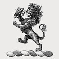 Coxen family crest, coat of arms