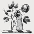 Sinclair family crest, coat of arms
