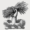 Robertson-Macdonald family crest, coat of arms
