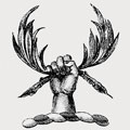 Ockley family crest, coat of arms