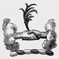 Burns family crest, coat of arms