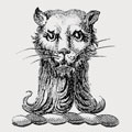 Morgan family crest, coat of arms