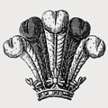 Harrison family crest, coat of arms