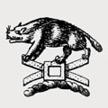 Motion family crest, coat of arms