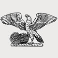 Bingham family crest, coat of arms