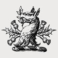 Watson family crest, coat of arms