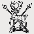 Jones family crest, coat of arms