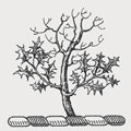 Miller family crest, coat of arms
