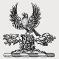 Heywood-Jones family crest, coat of arms