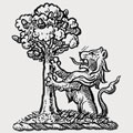 De La Motte family crest, coat of arms