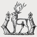 Jones family crest, coat of arms